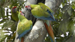 Avis voyageur Florence Audran