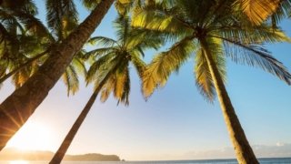 <b>When to go to Panama? </b><br>Climate, seasons and best times