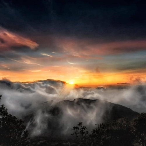 <b>Wild Panama tour</b><br> Jungle, Volcano & Sea Turtles