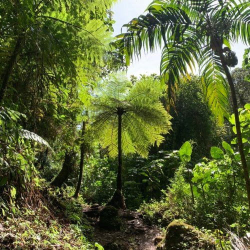 <b>Panama National Parks:</b><br>A small country, a great natural wealth