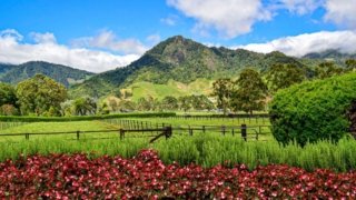 Chiriqui: from <b>Boquete to Boca Chica</b>