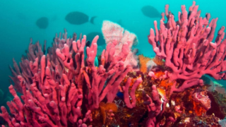 Avis voyageur etienne samier