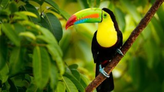 Avis voyageur Jean-Romain KELLER