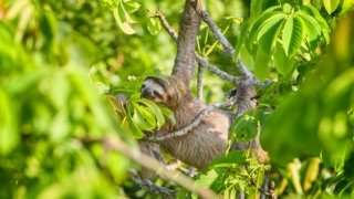 Panama in 2 weeks<br><b>from Atlantic to Pacific</b>